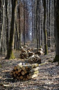 Erneuerbare Energien Deutschland, Biomasse